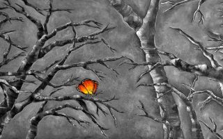 Sobia Shuaib Turmoil & Grace 18" x 36"