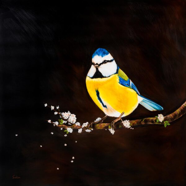 The Watchful Blameis