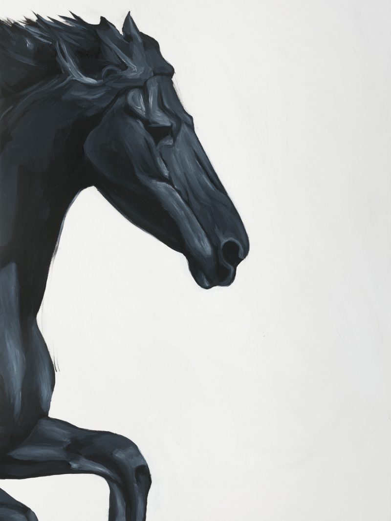 Sobia Shuaib - Black Stallion