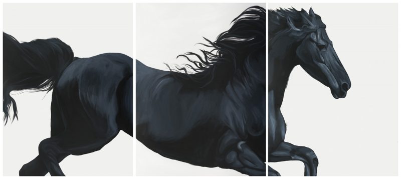 Sobia Shuaib - Black Stallion