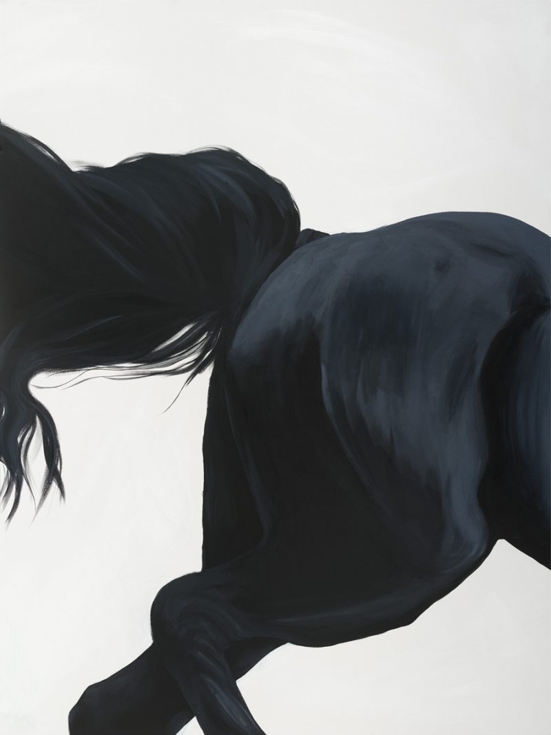 Sobia Shuaib - Black Stallion